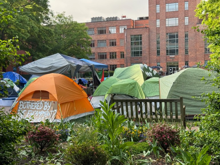 يعتصم ما يقرب من 100 طالب في 15 خيمة داخل ساحة جامعة جورج واشنطن